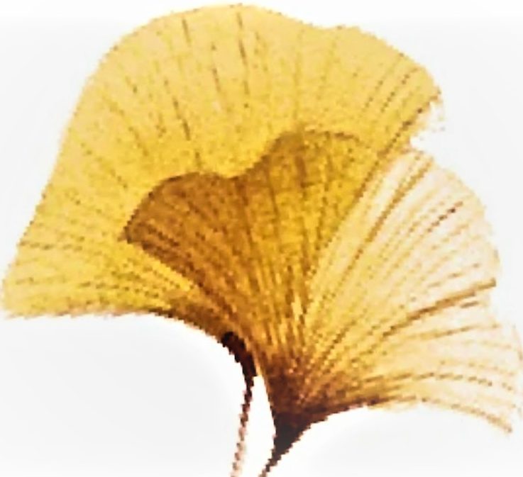 Patricia NAVEL – Thérapies brèves et formation